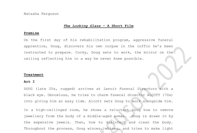 write a synopsis or treatment for your script